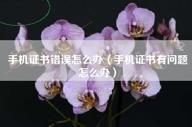 手机证书错误怎么办（手机证书有问题怎么办）