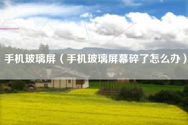 手机玻璃屏（手机玻璃屏幕碎了怎么办）