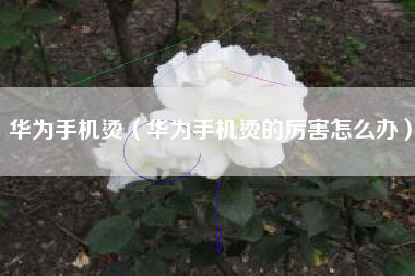 华为手机烫（华为手机烫的厉害怎么办）