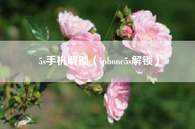 5s手机解锁（iphone5s解锁）