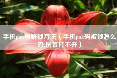手机puk码解锁方法（手机puk码被锁怎么办,屏幕打不开）