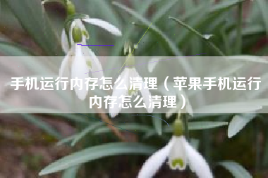 手机运行内存怎么清理（苹果手机运行内存怎么清理）