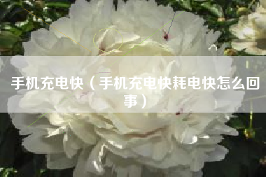 手机充电快（手机充电快耗电快怎么回事）