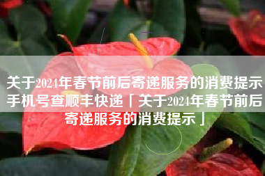 关于2024年春节前后寄递服务的消费提示手机号查顺丰快递「关于2024年春节前后寄递服务的消费提示」