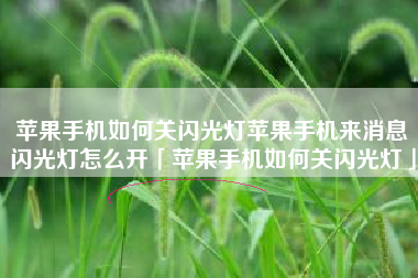 苹果手机如何关闪光灯苹果手机来消息闪光灯怎么开「苹果手机如何关闪光灯」