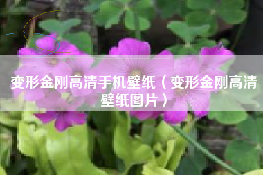 变形金刚高清手机壁纸（变形金刚高清壁纸图片）