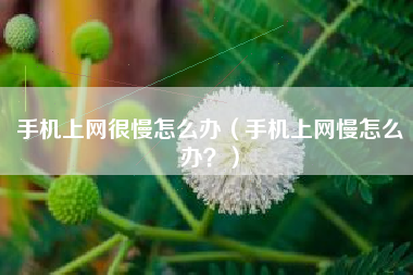 手机上网很慢怎么办（手机上网慢怎么办？）