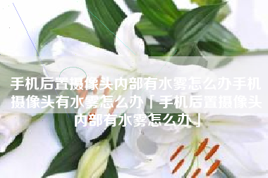 手机后置摄像头内部有水雾怎么办手机摄像头有水雾怎么办「手机后置摄像头内部有水雾怎么办」