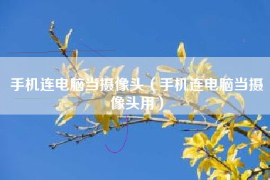 手机连电脑当摄像头（手机连电脑当摄像头用）