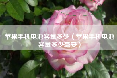 苹果手机电池容量多少（苹果手机电池容量多少毫安）