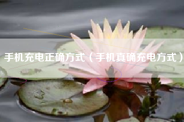 手机充电正确方式（手机真确充电方式）