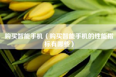 购买智能手机（购买智能手机的性能指标有哪些）