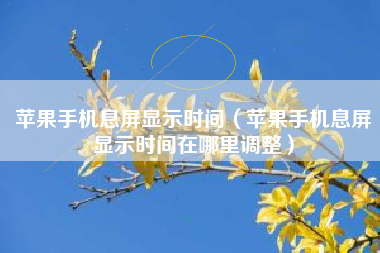 苹果手机息屏显示时间（苹果手机息屏显示时间在哪里调整）
