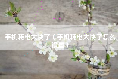 手机耗电太快了（手机耗电太快了怎么设置）
