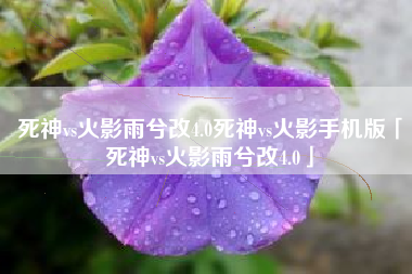 死神vs火影雨兮改4.0死神vs火影手机版「死神vs火影雨兮改4.0」