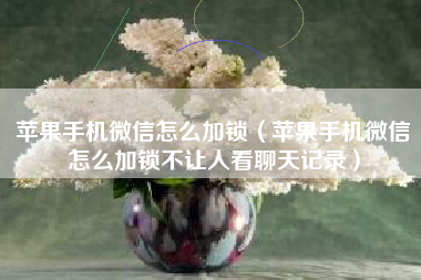 苹果手机微信怎么加锁（苹果手机微信怎么加锁不让人看聊天记录）