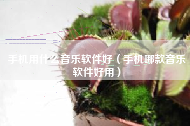 手机用什么音乐软件好（手机哪款音乐软件好用）
