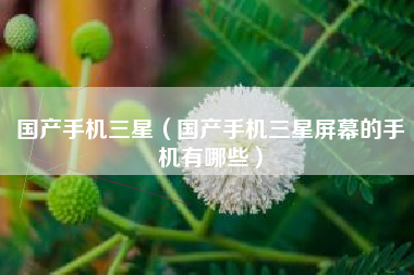 国产手机三星（国产手机三星屏幕的手机有哪些）