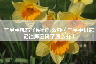 三星手机忘了密码怎么办（三星手机忘记锁屏密码了怎么办）