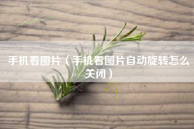 手机看图片（手机看图片自动旋转怎么关闭）