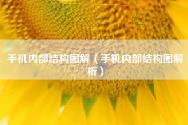 手机内部结构图解（手机内部结构图解析）
