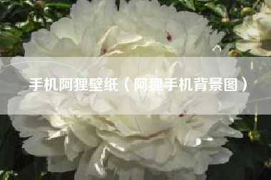 手机阿狸壁纸（阿狸手机背景图）