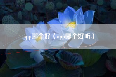 app哪个好（app哪个好听）