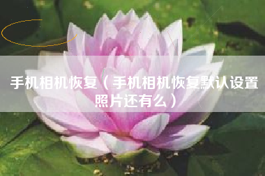 手机相机恢复（手机相机恢复默认设置照片还有么）