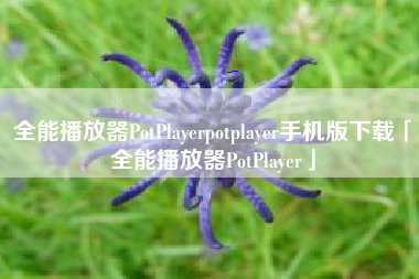 全能播放器PotPlayerpotplayer手机版下载「全能播放器PotPlayer」