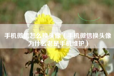 手机微信怎么换头像（手机微信换头像为什么老是手机维护）