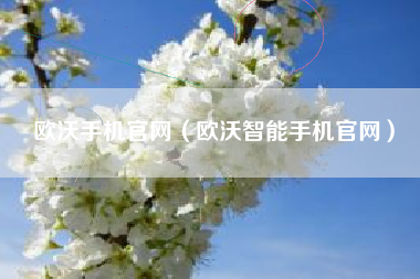欧沃手机官网（欧沃智能手机官网）