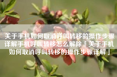 关于手机如何取消呼叫转移的操作步骤详解手机呼叫转移怎么解除「关于手机如何取消呼叫转移的操作步骤详解」