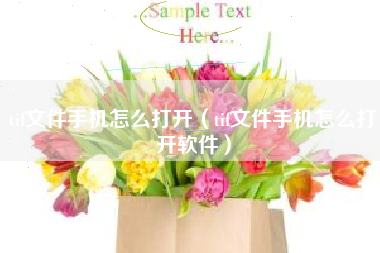tif文件手机怎么打开（tif文件手机怎么打开软件）