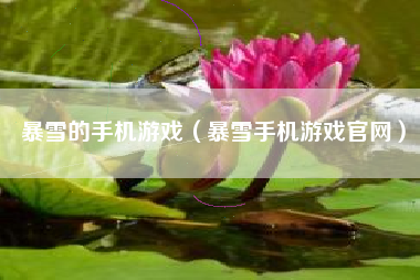 暴雪的手机游戏（暴雪手机游戏官网）