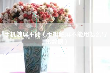 手机触屏不能（手机触屏不能用怎么导出数据）