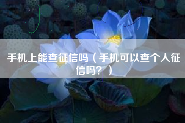 手机上能查征信吗（手机可以查个人征信吗？）
