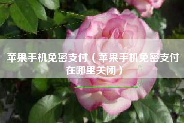 苹果手机免密支付（苹果手机免密支付在哪里关闭）
