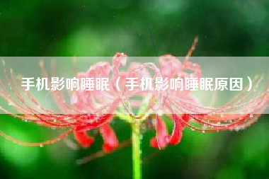 手机影响睡眠（手机影响睡眠原因）