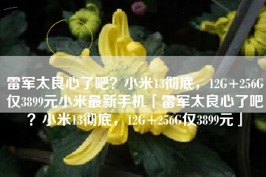 雷军太良心了吧？小米13彻底，12G+256G仅3899元小米最新手机「雷军太良心了吧？小米13彻底，12G+256G仅3899元」