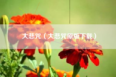 大悲咒（大悲咒原版下载）