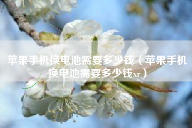 苹果手机换电池需要多少钱（苹果手机换电池需要多少钱xr）
