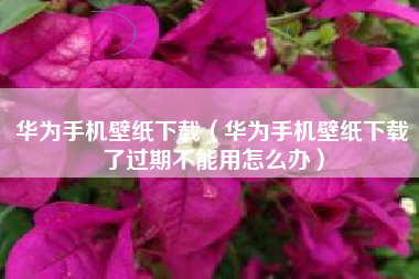 华为手机壁纸下载（华为手机壁纸下载了过期不能用怎么办）