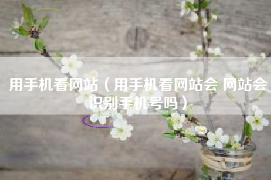 用手机看网站（用手机看网站会 网站会识别手机号吗）