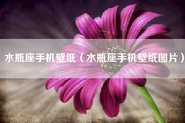 水瓶座手机壁纸（水瓶座手机壁纸图片）