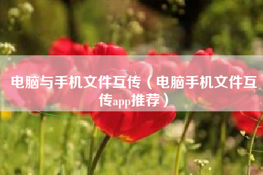 电脑与手机文件互传（电脑手机文件互传app推荐）