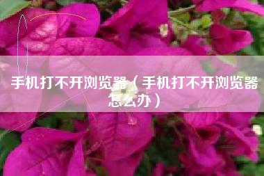 手机打不开浏览器（手机打不开浏览器怎么办）