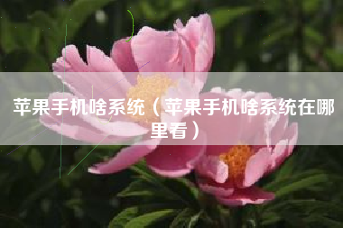 苹果手机啥系统（苹果手机啥系统在哪里看）