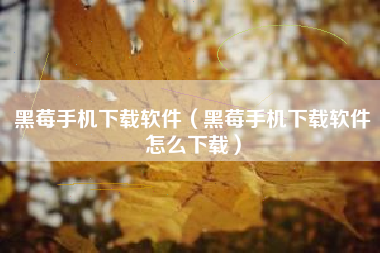 黑莓手机下载软件（黑莓手机下载软件怎么下载）