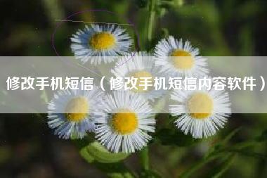 修改手机短信（修改手机短信内容软件）