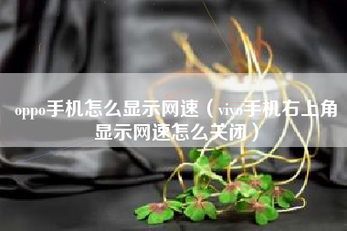 oppo手机怎么显示网速（vivo手机右上角显示网速怎么关闭）